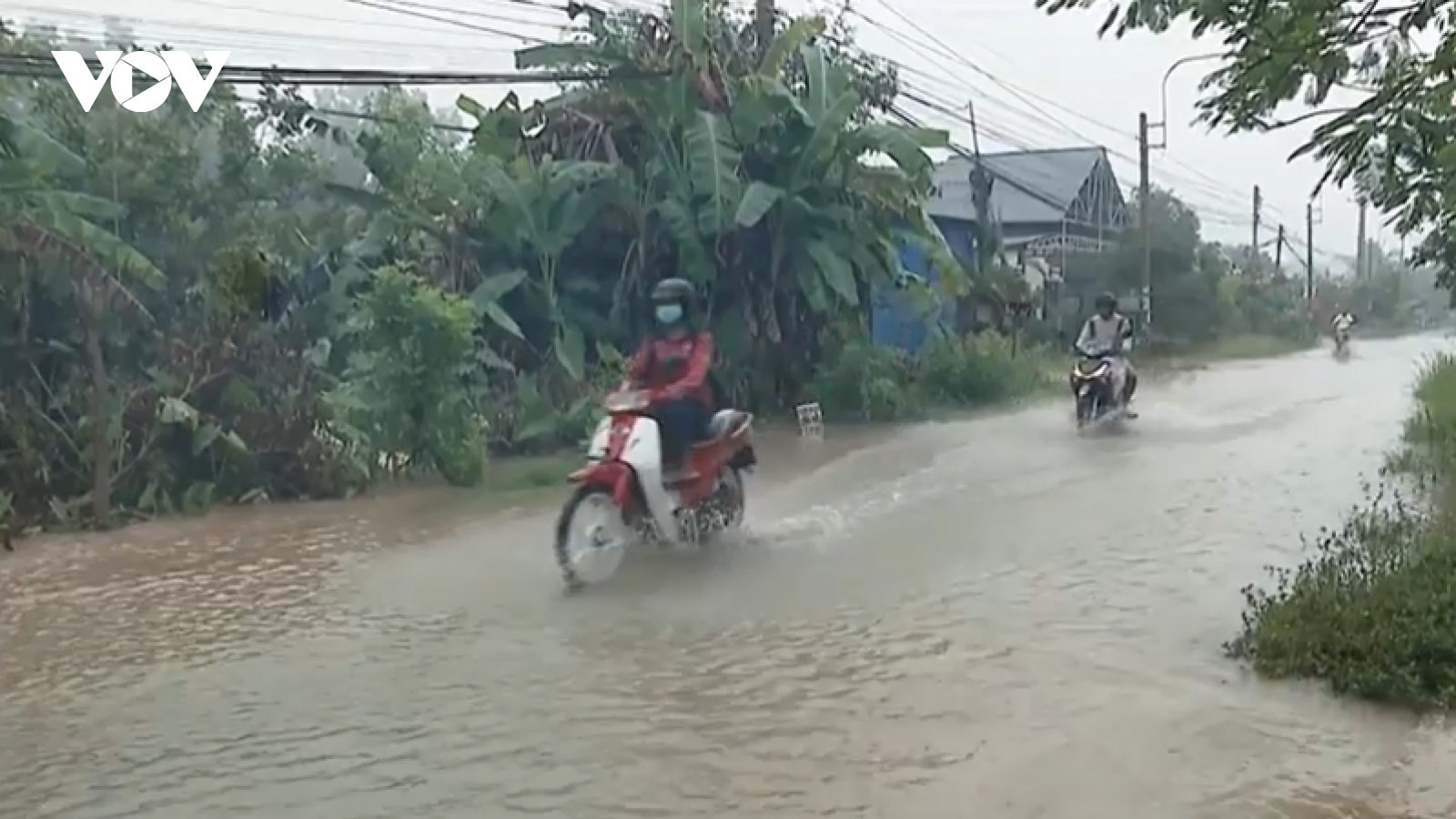 Triều cường dâng cao gây ngập nhiều tuyến đường trong nội ô tỉnh Vĩnh Long